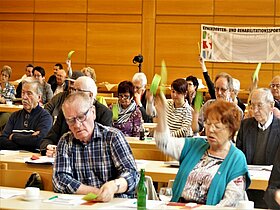 Delegierte bei der Abstimmung auf dem Verbandstag