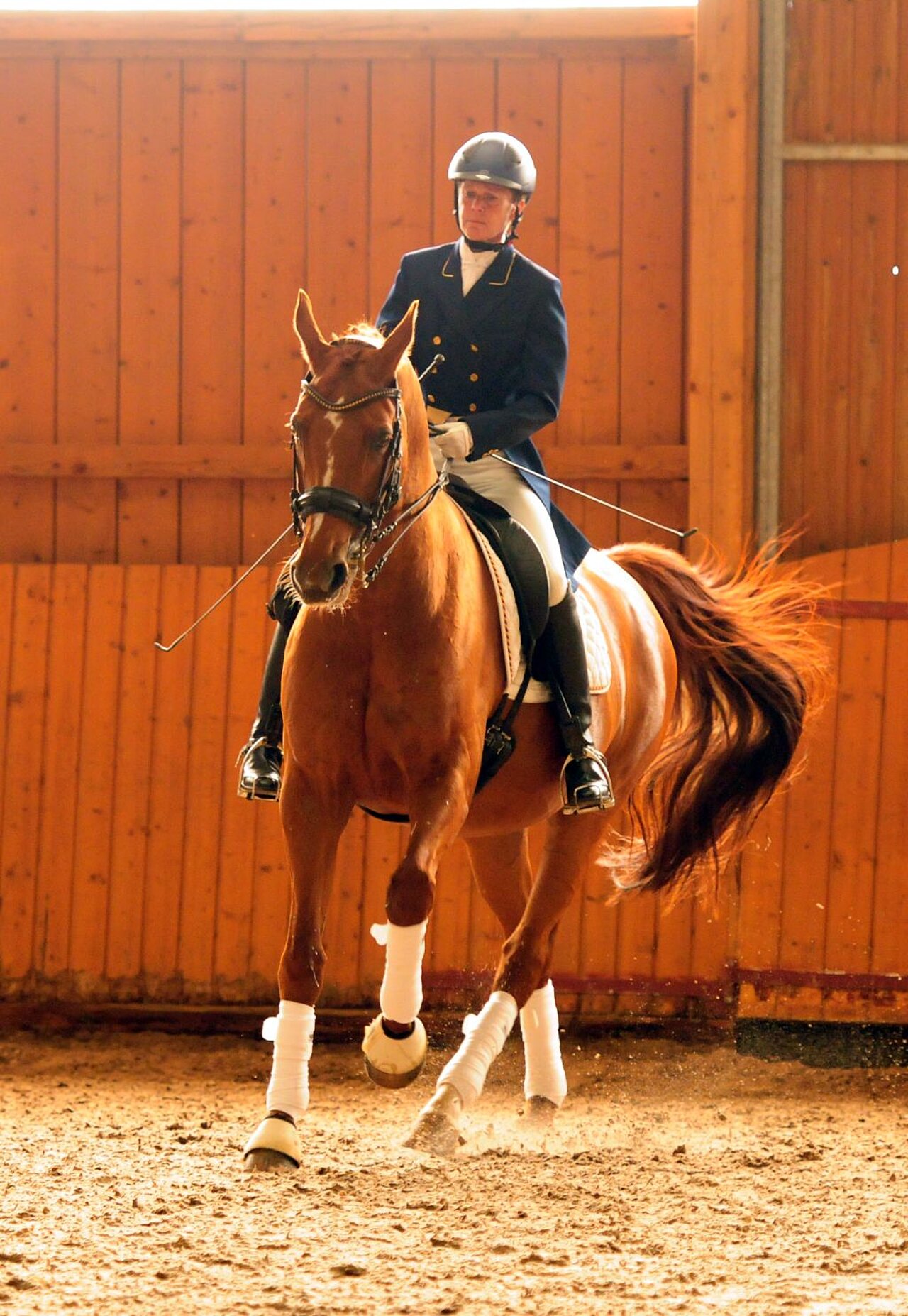 Claudia Schmidt demonstrierte die Para-Dressage