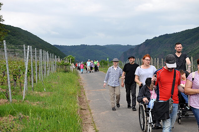 Im Rollstuhl oder zu Fuß ging es auf der kleinen Strecke durch die Weinberge.