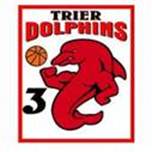 Logo Dolphins 3